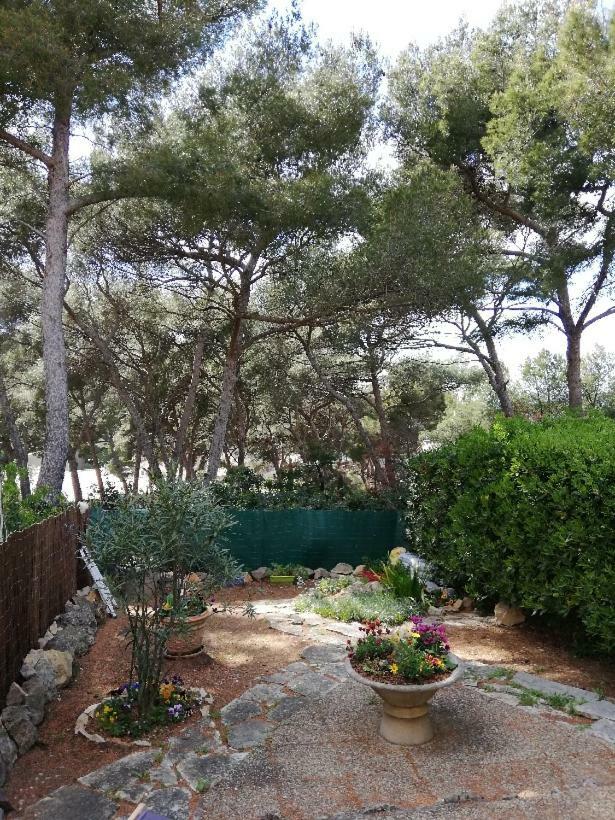 T2 Rez De Jardin 300M Plage De Beaucours Sanary Sur Mer 外观 照片